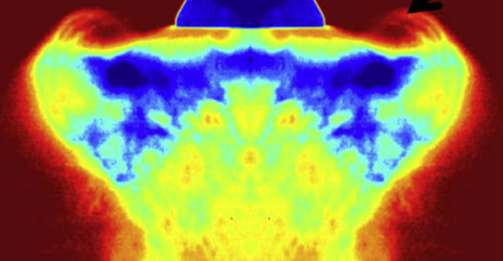 tout electical power