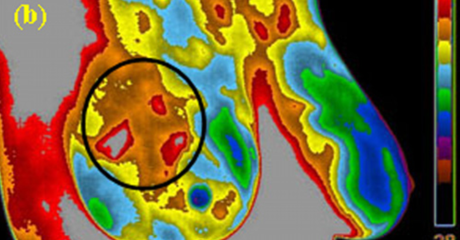 tout electical power