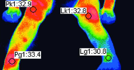 tout electical power
