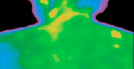 tout electical power