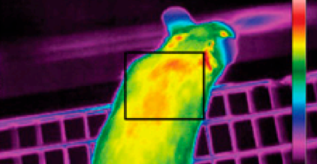 tout electical power