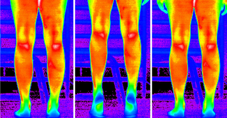 tout electical power